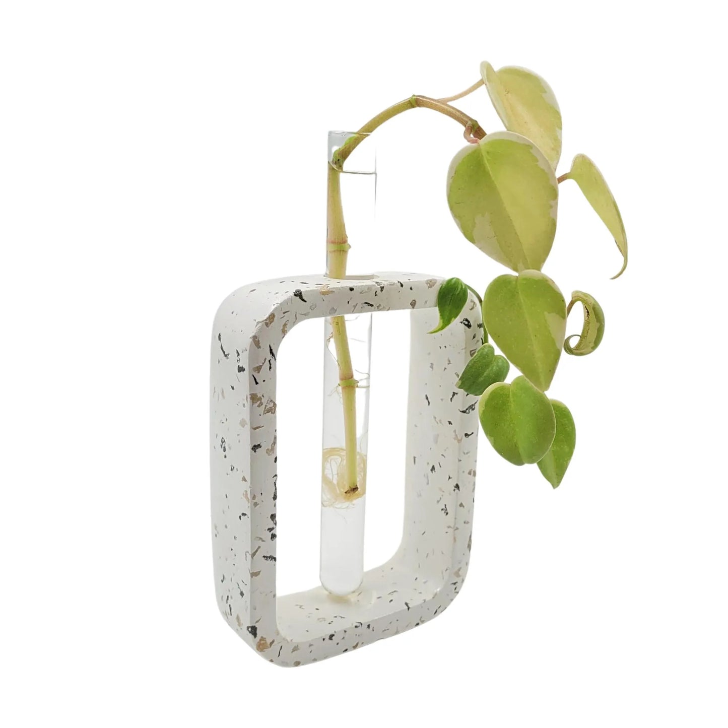 Modern Ceramic Imitation Design Iris with Glass Tube